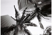 LOMO Simple Use Reloadable Film Camera Black & White