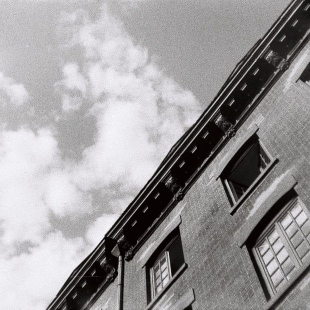LOMOGRAPHY BW Orca 110 ISO 100