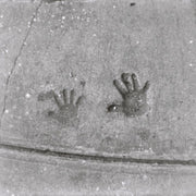 LOMOGRAPHY BW Orca 110 ISO 100