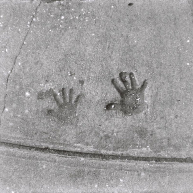 LOMOGRAPHY BW Orca 110 ISO 100