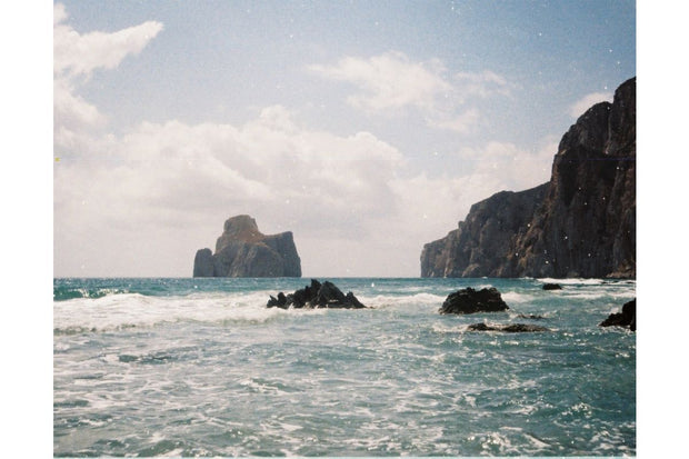 Lomography Color Tiger 110