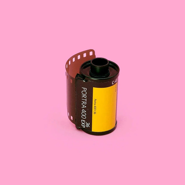 Develop & Standard Scan 🎁