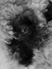 On Heaven's Doorsill by Roxana Savin