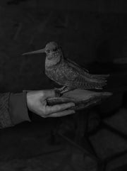 On Heaven's Doorsill by Roxana Savin