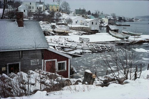 Sealskin by Jeff Dworsky