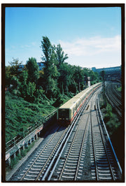 NEW*SAFELIGHT 500T Film