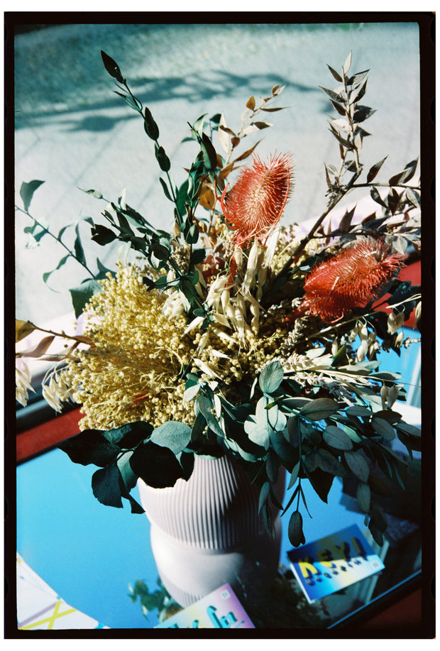 NEW*SAFELIGHT 500T Film