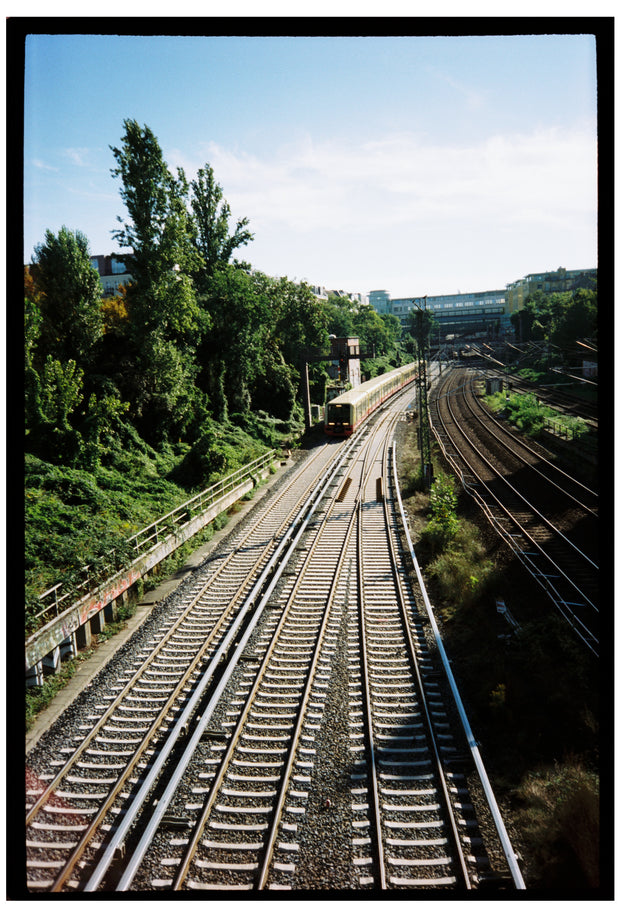 NEW*SAFELIGHT 250D Film