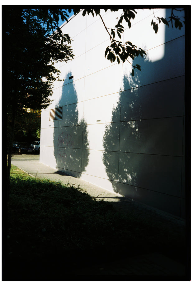 NEW*SAFELIGHT 250D Film