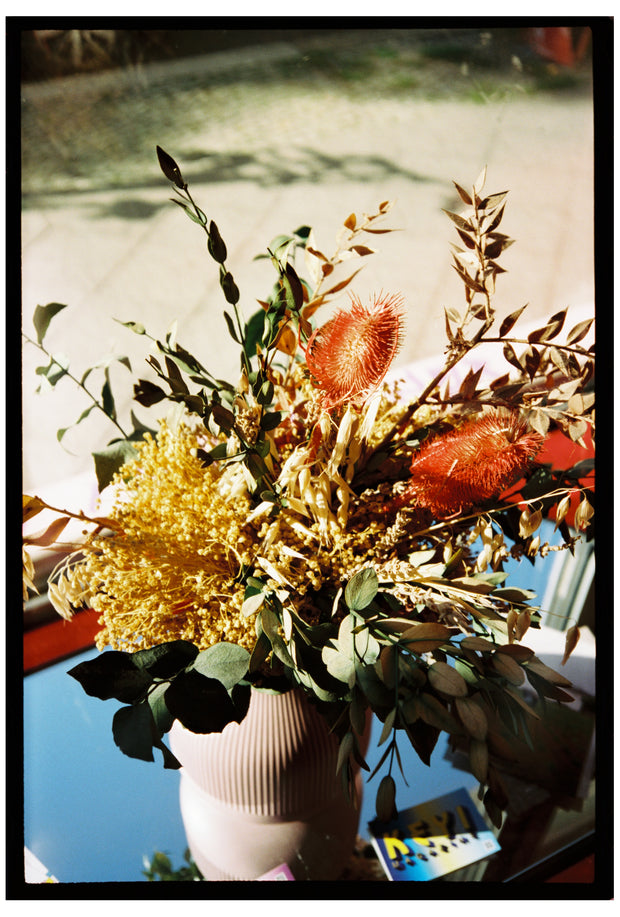 NEW*SAFELIGHT 250D Film