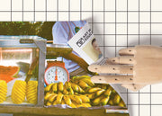 Art Meets Education - Fresh Bananas