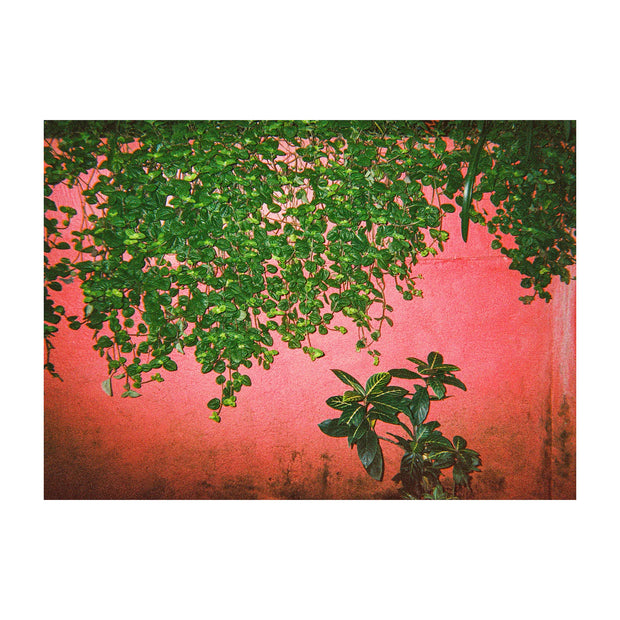 Art Meets Education - Green Pink