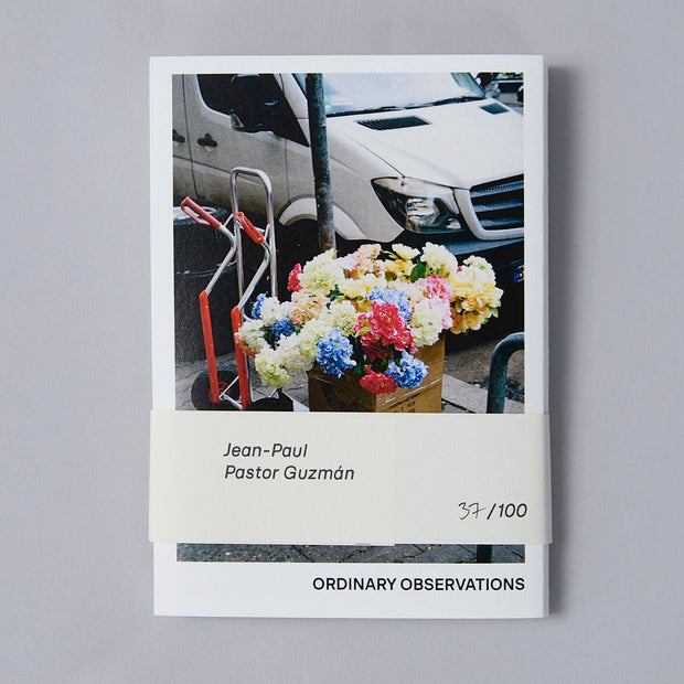 Ordinary Observations by Jean-Paul Pastor Guzman